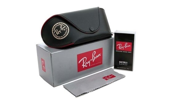 Ray Ban RB 4171 865/13 54 ERIKA
