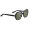 Serengeti HAYWORTH SS538001 54 polarizace