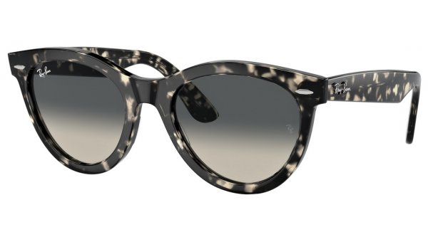 Ray Ban RB 2241 133371 54