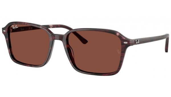 Ray Ban RB 2231 1416C5 58 RAIMOND