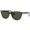Ray Ban RB 2185 901/31 55 WAYFARER II