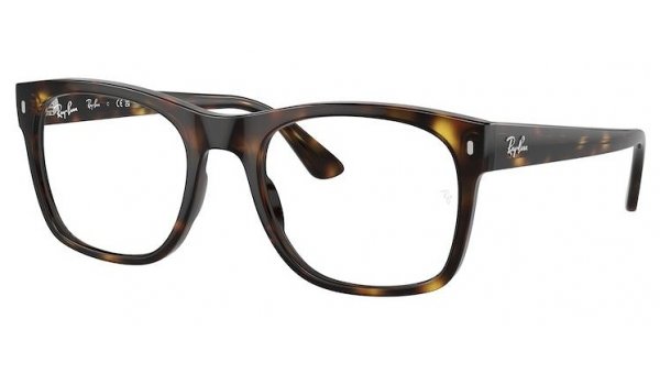 Ray Ban RX 7228 2012 55